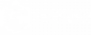 Logo der Indie-Spieleschmiede Envition Entertainment.