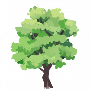 icon_tree_hardwood_001